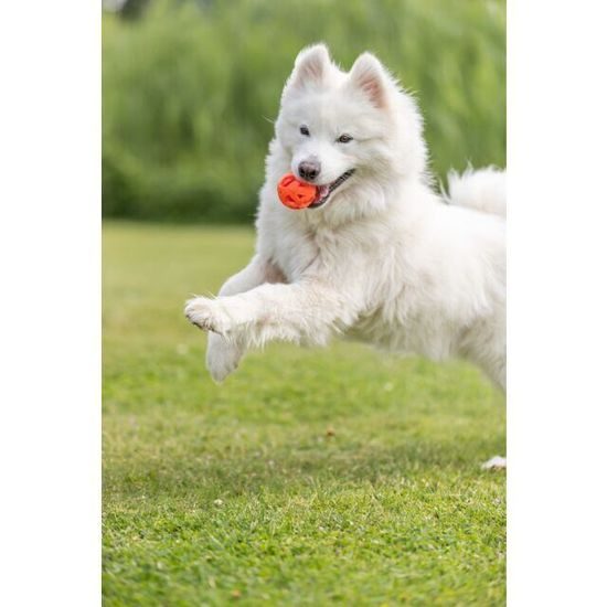 Trixie Honeycomb Ball prodyšný míček 6 cm TPR oranžová