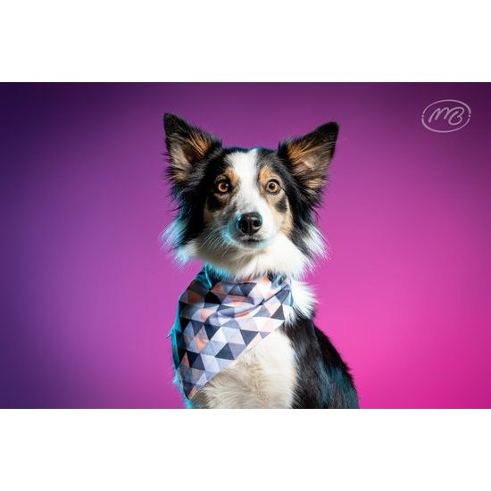 FUNKY DOG Růžový šátek pro psa s jednorožci