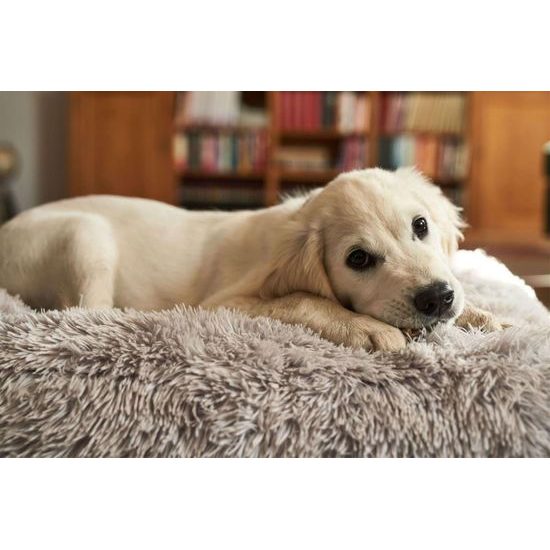 DogSpace Lassie tlaková branka pro pejsky 73-80 cm bílá