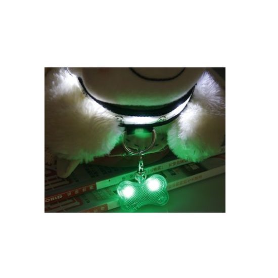 Reedog svítící přívěšek pro psy a kočky kost