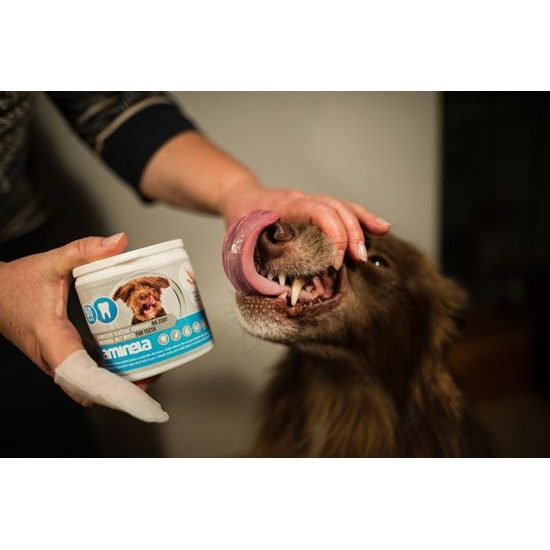 Aminela ubrousky na zuby 50ks