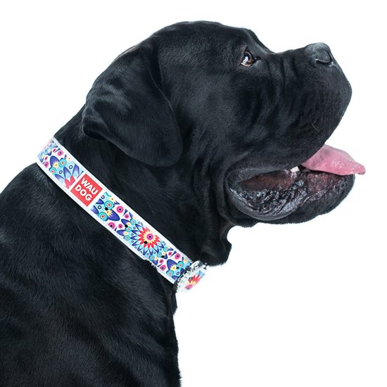 WAUDOG Obojek kožený Ethno