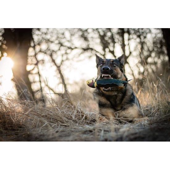 Spunky Pup Ryba na aportování 25cm