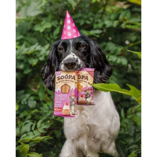 Soopa Pets Dentální tyčinky Soopa Cupcake s jahodami a kokosem 100 g