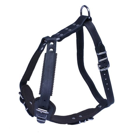 BafPet Kožený postroj JAGO s náprsenkou černá
