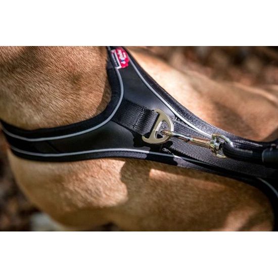 CURLI Postroj pro psy Belka Comfort Red M, 20-30 kg