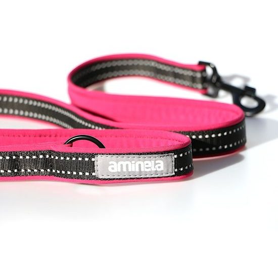 Aminela jednoduché vodítko podšité Sport & City 25mm/150cm malinová