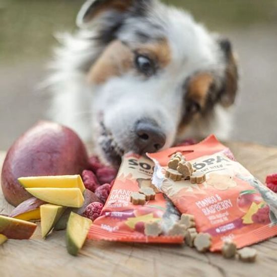 Soopa Pets Soopa Healthy Bites s mangem a malinou 50 g