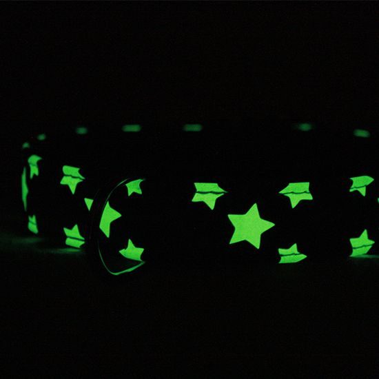 WAUDOG Obojek kožený Stars