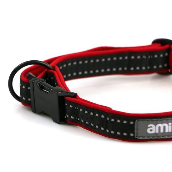 Aminela obojek se sponou Sport & City 25mm/35-60cm červená