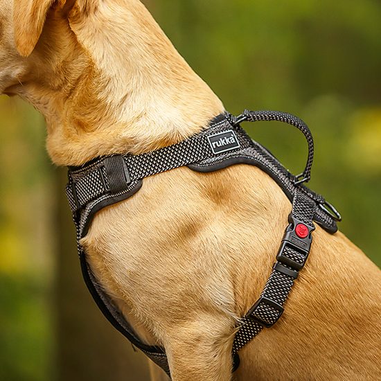 Rukka Star postroj polstrovaný reflexní