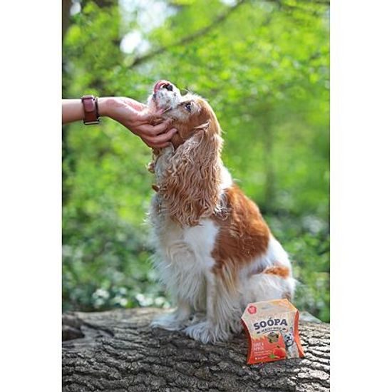 Soopa Pets Soopa Healthy Bites s mrkví a dýní 50 g