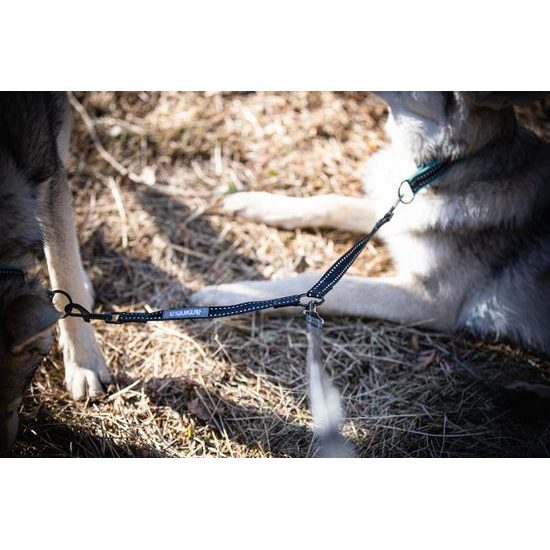 Aminela rozdvojka Sport&City pro 2 psy 20mm/30cm černá