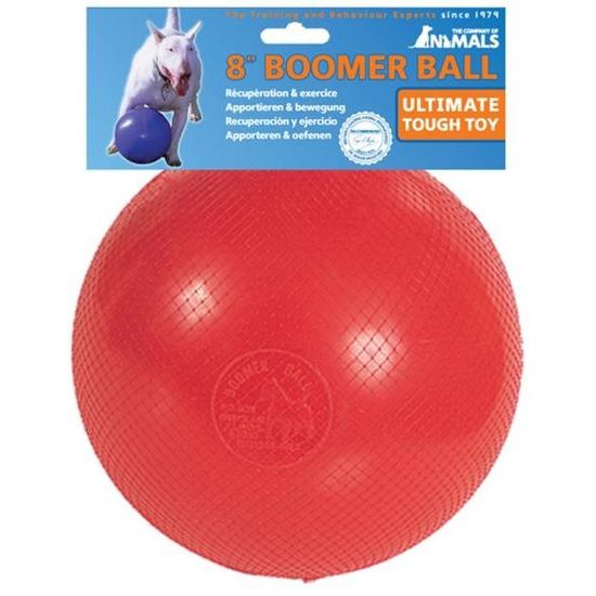 Hračka plast Míč Boomer Ball