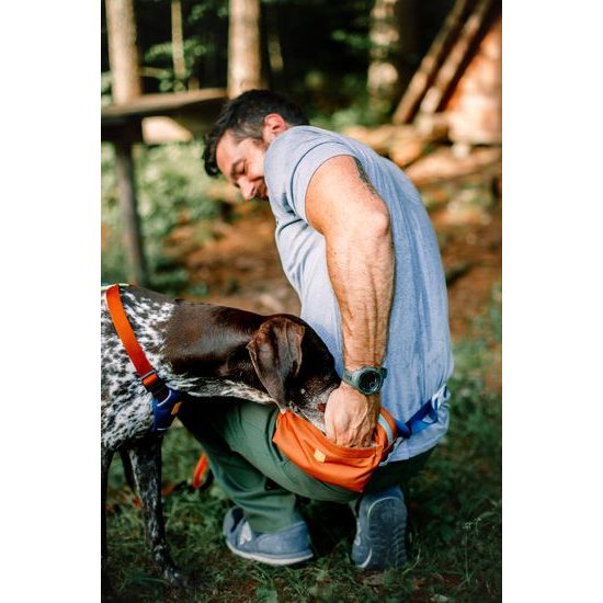 Woolly Wolf Alpha 360 Hip Pack