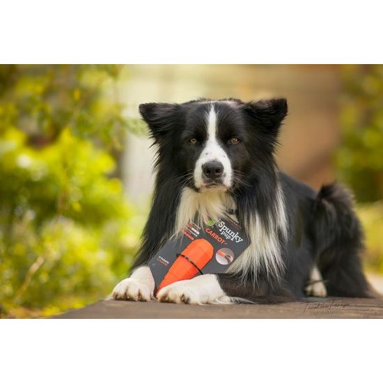 Spunky Pup Mrkev na pamlsky 13cm