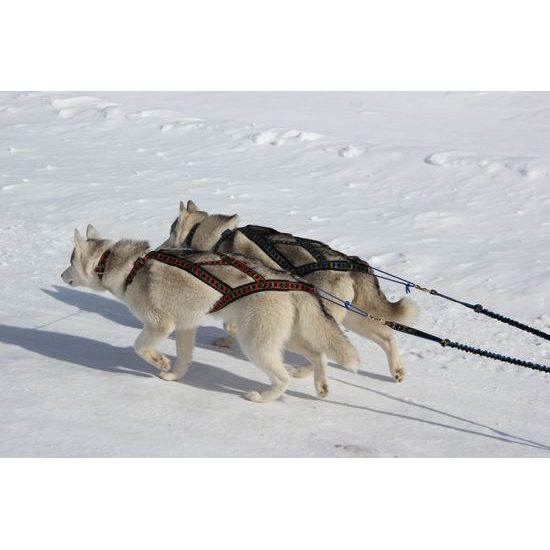 ManMat postroj SLED