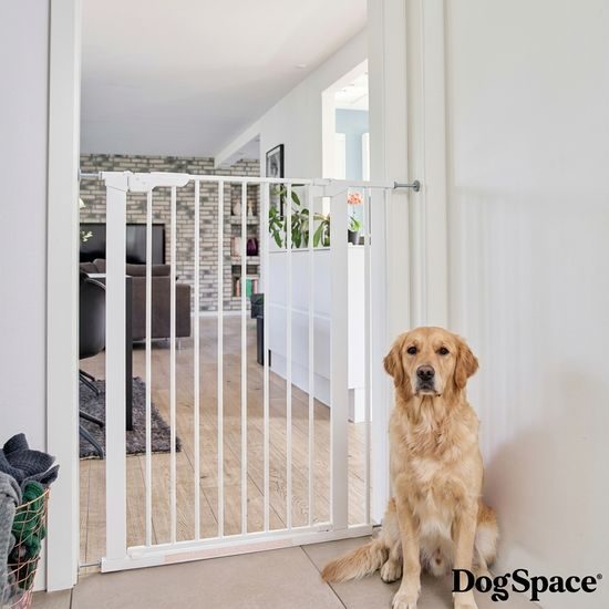 DogSpace Rozšíření pro Bonie extra vysokou branku pro psy 2ks