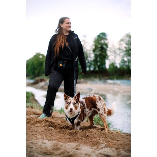 Woolly Wolf Roam Harness