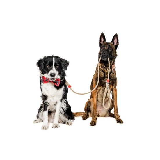 FUNKY DOG Červené lněné vodítko