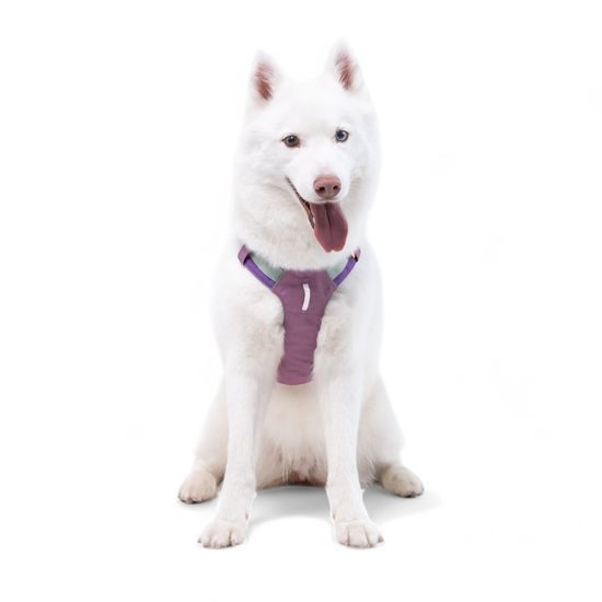 Woolly Wolf Alpha 360 Harness