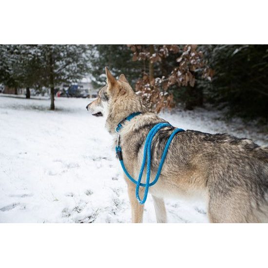 Aminela lanové prodlužovací vodítko 12mm/270cm modré