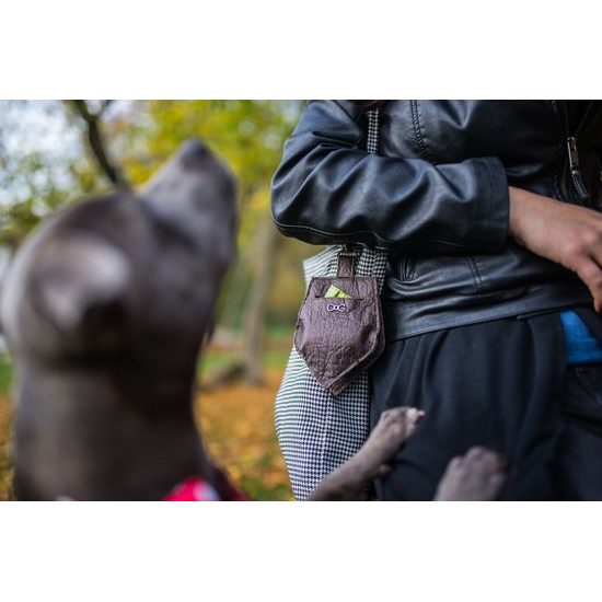 FUNKY DOG Hnědý pamlskovník Piňamka