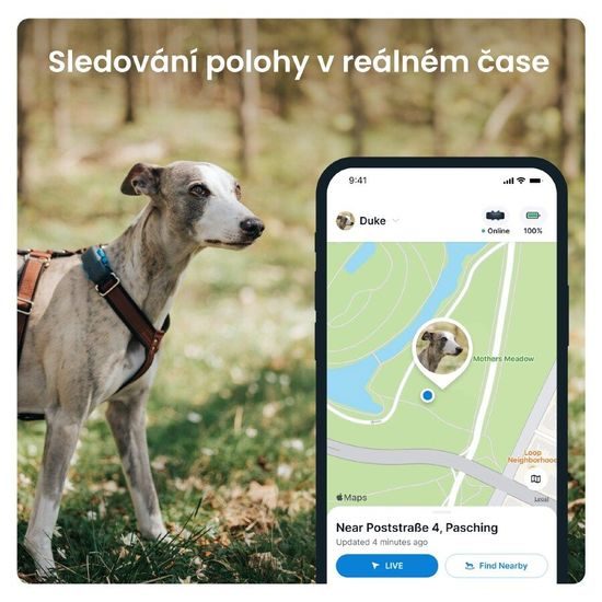 Tractive GPS DOG 4 sledování polohy a aktivity pro psy