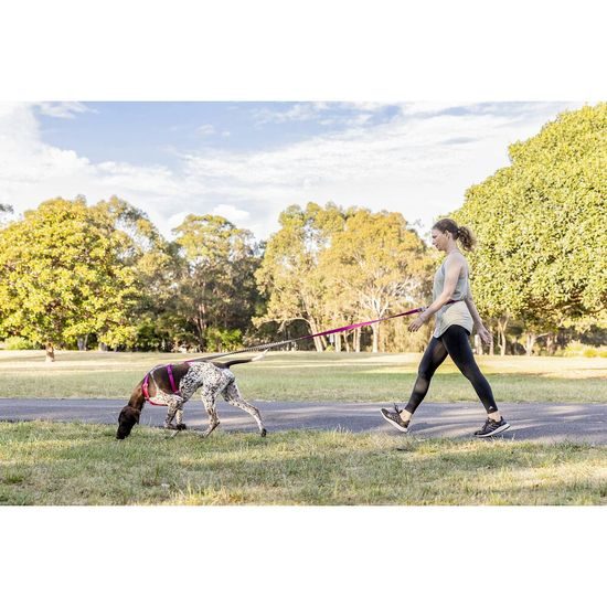 Red Dingo vodítko SuperLead Running Black 25 mm x 2,25 m