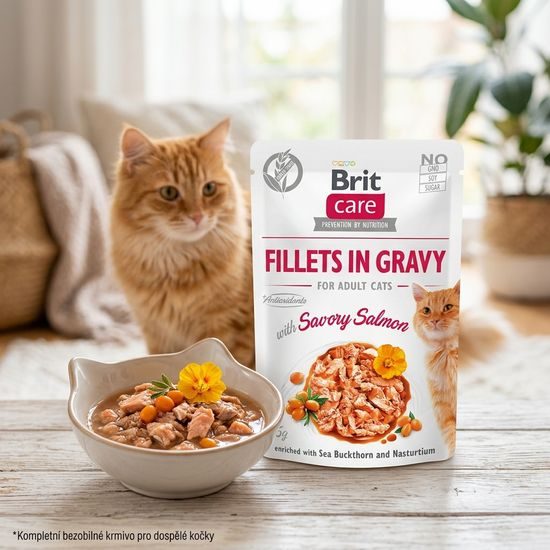 Brit Care Cat Fillets in Gravy with Savory Salmon 85g