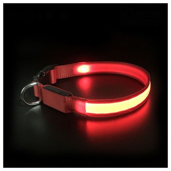 BENTECH Svítící LED obojek Bentech DC3100 červený