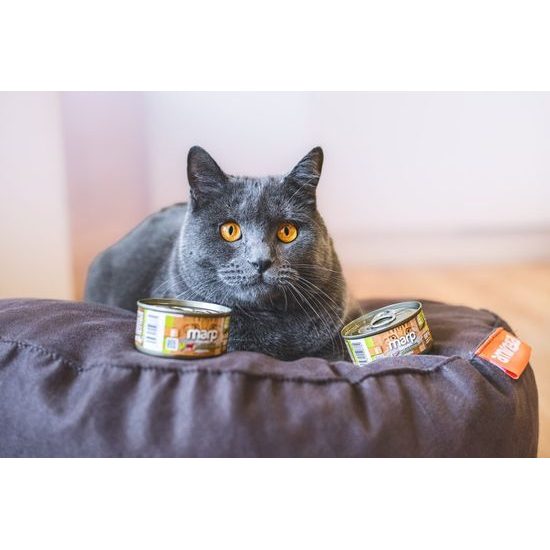 Marp Holistic Plus konzerva pro kočky Kuře s krevetami a brusinkami v želé 24x70g