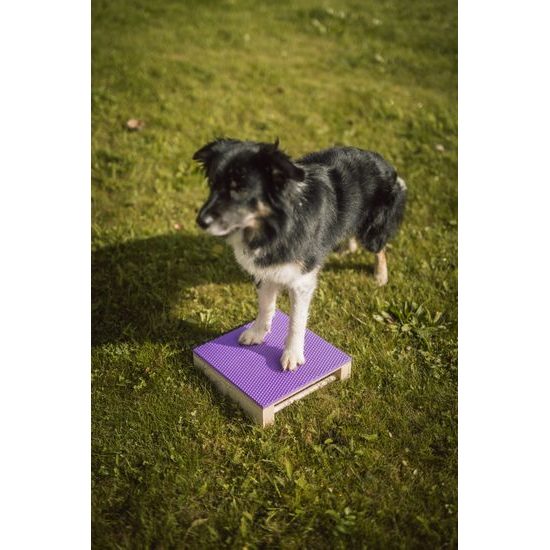 Løype Target Hamtal Markfit