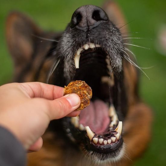 Akinu MASÍČKA PREMIUM Immunity pamlsek pro psy 75 g