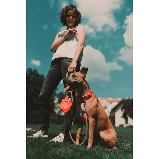 FUNKY DOG Červený pamlskovník Piňamka