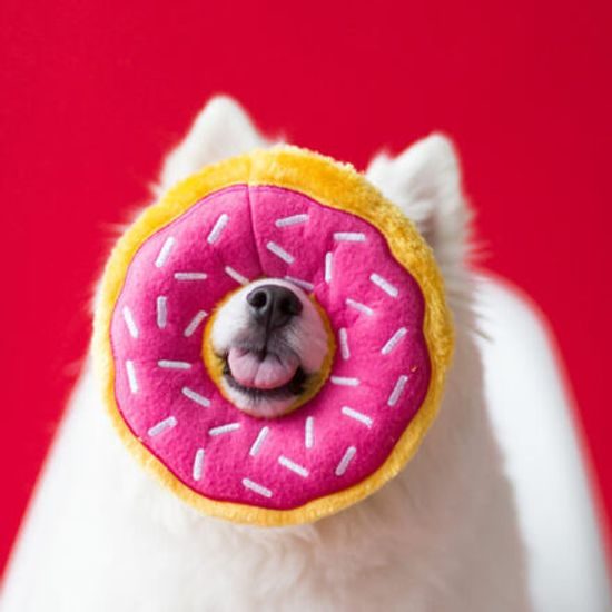 ZippyPaws Donutz