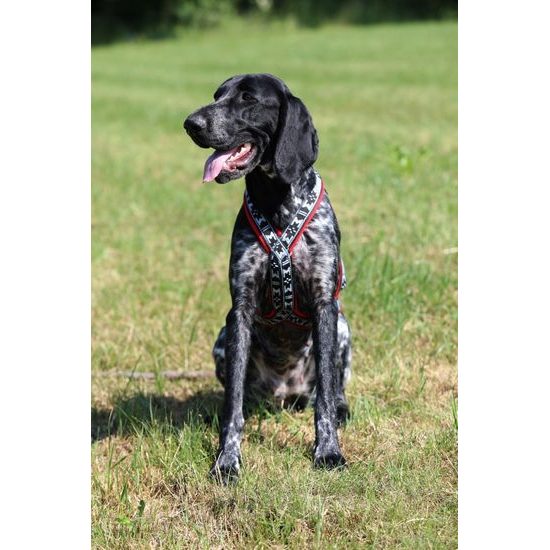 ManMat postroj RUN LONG