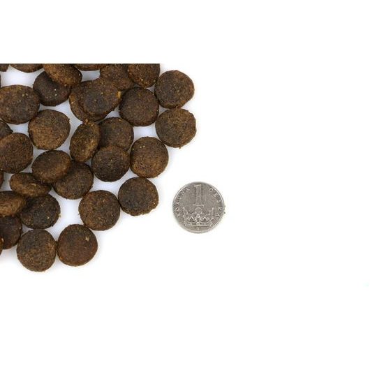 Doxneo Turkey krůtí bez obilovin 2kg