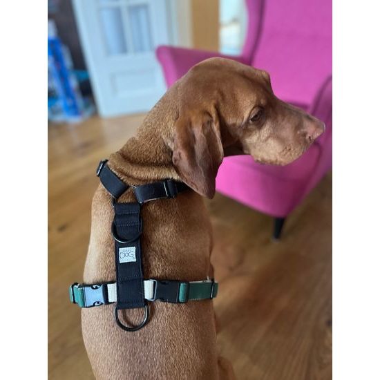 FUNKY DOG Konopný postroj pro psa zeleno černý