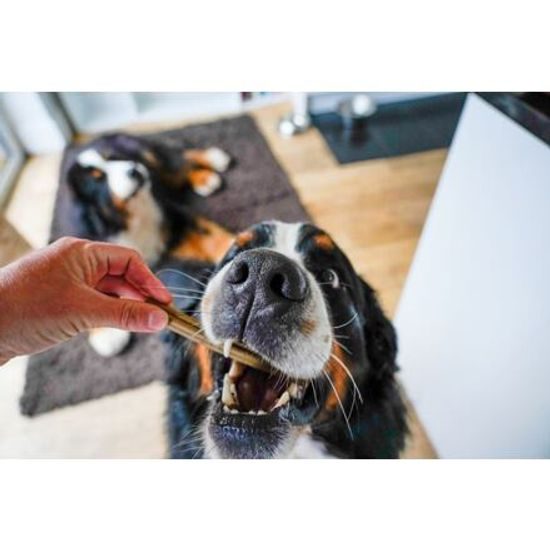 Soopa Pets Dentální tyčinky Soopa s banánem a arašídovým máslem 100 g