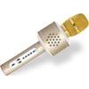 Zlatý Mikrofon karaoke Bluetooth na baterie s USB kabelem