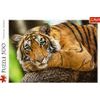 Puzzle Portét tygra 500 dílků