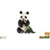 Panda velká zooted