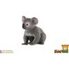 Koala medvídkovitý zooted