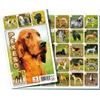 Pexeso Psi společenská hra 32 obrázkových dvojic
