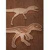 Dinosaurus - anatómia tela - edukatívne puzzle - SLOVENSKÁ VERZIA