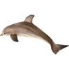 Delfín skákavý zooted