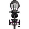 Dětská tříkolka Toyz Buzz purple