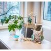 BabyOno Plyšová hračka s chrastítkem Owl Sofia