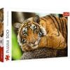 Puzzle Portét tygra 500 dílků